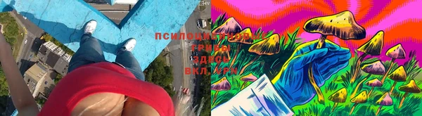 гидропоника Алексеевка