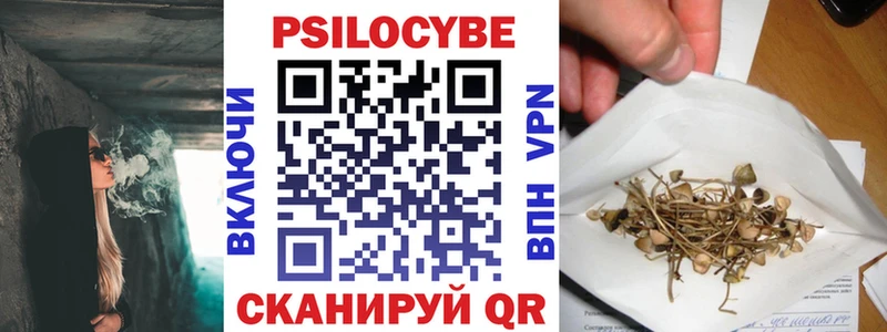 где купить наркоту  Ржев  Галлюциногенные грибы ЛСД 